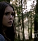 TVD_274.JPG