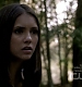 TVD_275.JPG
