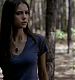 TVD_280.JPG