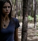 TVD_281.JPG