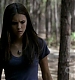 TVD_285.JPG