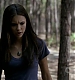 TVD_286.JPG