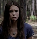 TVD_292.JPG