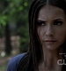 TVD_298.JPG