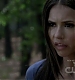 TVD_300.JPG