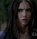 TVD_303.JPG