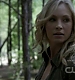 TVD_320.JPG