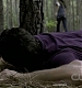 TVD_322.JPG