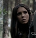 TVD_323.JPG