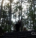 TVD_325.JPG