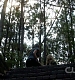 TVD_326.JPG