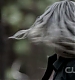 TVD_338.JPG