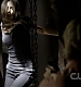 TVD_342.JPG