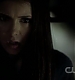 TVD_356.JPG
