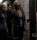 TVD_397.JPG
