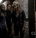 TVD_398.JPG