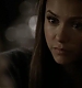 TVD_466.JPG