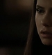 TVD_478.JPG