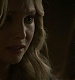 TVD_483.JPG