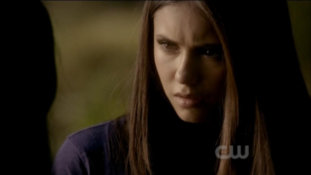 TVD0095.jpg