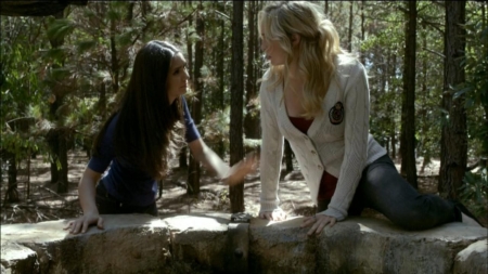 TVD0168.jpg