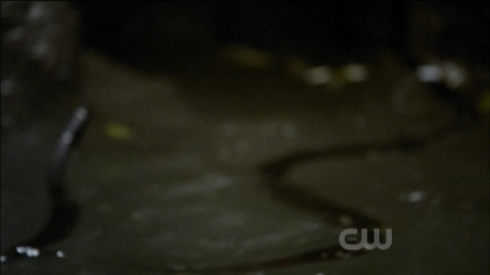 TVD0203.jpg