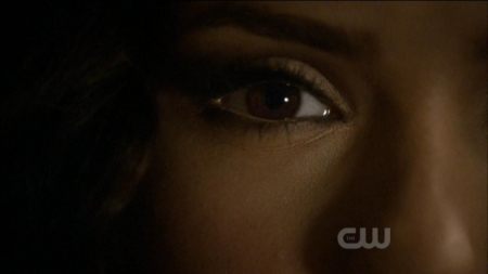 TVD0338.jpg