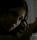 TVD0063.jpg