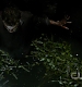 TVD0161.jpg