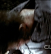 TVD0188.jpg