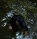 TVD0193.jpg