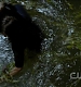 TVD0195.jpg
