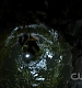 TVD0207.jpg