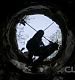 TVD0208.jpg