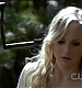 TVD0213.jpg