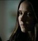 TVD0276.jpg