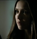 TVD0277.jpg