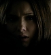 TVD0284.jpg