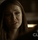 TVD0300.jpg