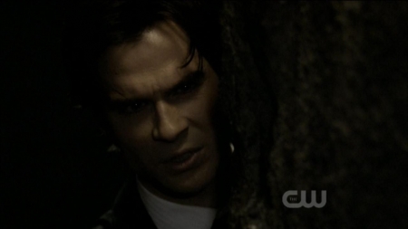 TVD0473.jpg