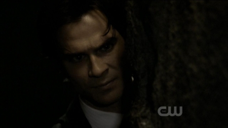 TVD0474.jpg