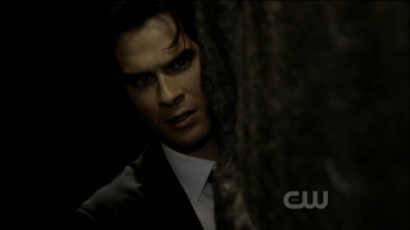 TVD0476.jpg