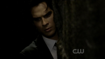 TVD0478.jpg