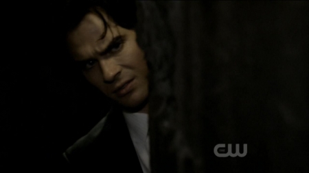 TVD0481.jpg