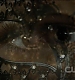 TVD0106.jpg