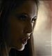 TVD0206.jpg