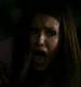 TVD0258.jpg