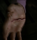 TVD0276.jpg