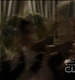 TVD0359.jpg