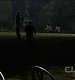 TVD0400.jpg